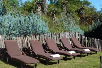 Leeuwenbosch Country House - Amakhala Game Reserve Hotels near Shamwari Private Game Reserve in the Eastern Cape