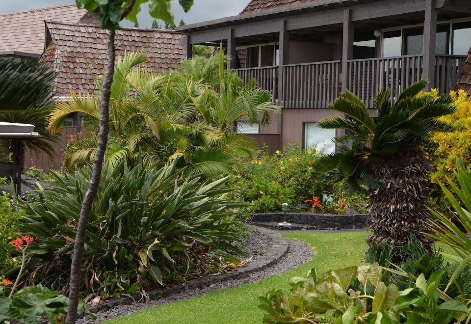 1. 콜로니 아이 앳..