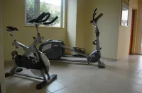 Hotel Diego De Almagro Talca - Gym