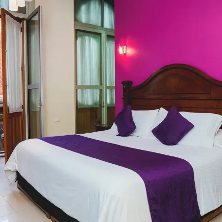 Hotel Puebla de Antaño
