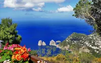 Capri Dream