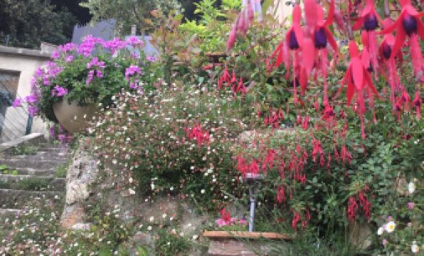 Skylark Bed & Breakfast