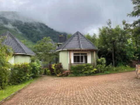 Rafiki Safari Lodge Bwindi Hotels in Kinkiizi