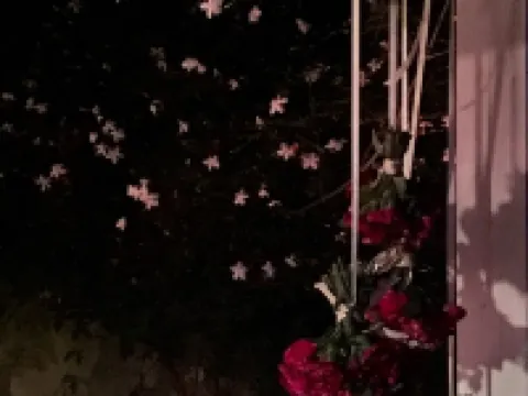 ホテル コンベント タリファ タリファのホテル