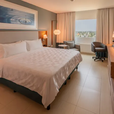 Holiday Inn Acapulco la Isla, an IHG Hotel