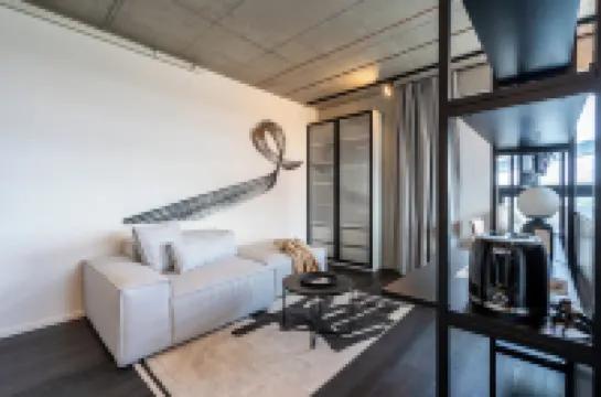 ฮอเนสท์ ริคานี โรงแรมใน