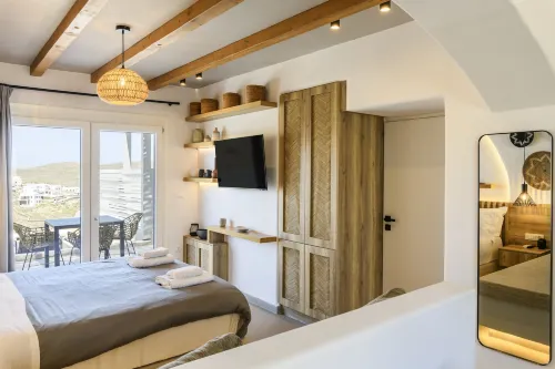 米科諾斯住宅別墅和套房