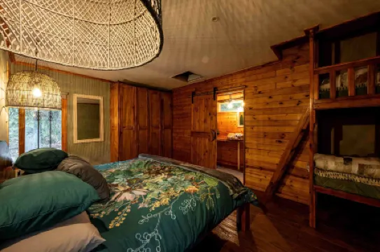 Matumi Trail Forest Lodges - Matumi and Mitzeeri