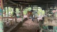 Rio Agujitas Eco Farm Hostel and Tours - 2-stjärniga