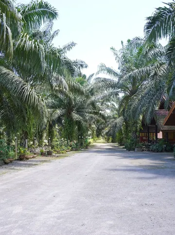 รูปภาพของน้ำผึ้งรีสอร์ท