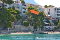 아파트먼트 카테