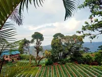 Heaven Hills Resort Hotels in Machutar