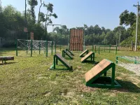 Rain Forest Eco Resort Hotels in Sreepur Upazila