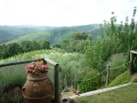 Casa Ceneruzzi
