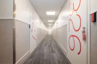 Omena Hotel Jyväskylä Hotels in Jyvaskyla