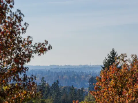 Modern Gateway Family-sized Suite in Thornhill-Maple Ridge - BC Hotels in Maple Ridge