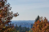 Modern Gateway Family-sized Suite in Thornhill-Maple Ridge - BC Hotels in Maple Ridge