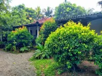 Dickwella Green Villa--Three-Bedroom Villa Hotels near Blue Beach Island