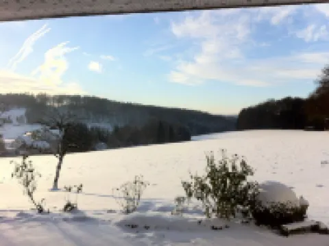 Apartment on the edge of the forest