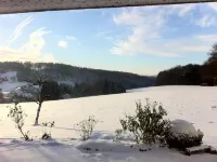 Apartment on the edge of the forest