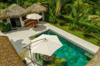 Experience the Pure Life in the Private Jungle Paradise of Ojochal - Villas