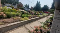 Self Contained Master Suite Hotels near Vancouver Patrolling