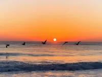 Relax at the Island Escape in Downtown Melbourne, minutes from beautiful beaches