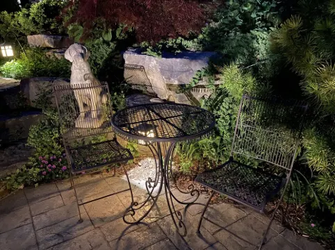 Suite nestled in a garden beside a 13 acre park in the heart of the city.