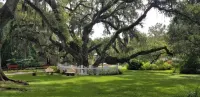 NEW Sunshine Gorgeous- 3BD/2BA -Private Backyard! Hotel dekat W.I.S.E Private School