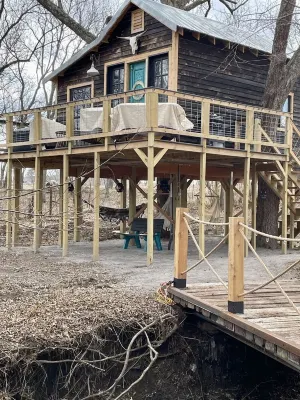 Fun & Magical Treehouse