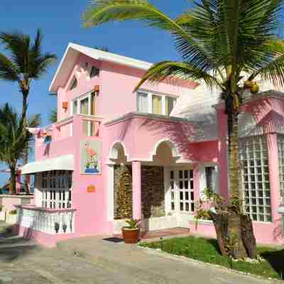 Villa Flamingo; Sleeps 8; Waterfall, Oceanfront Pool, Hot Tub Hotel Exterior