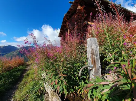 Tous en Français pour Vous