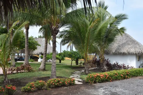 A Natural Paradise in the Pacific coast