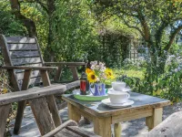 The Daffodil Shed - Wifi