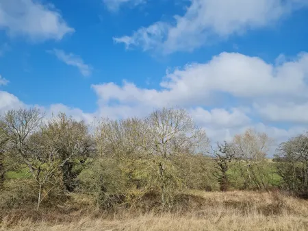 Olives Place Отели в г. Морпет