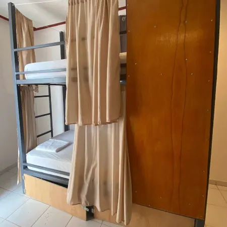Treebu Hostel