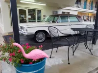 Roadrunner Lodge Motel