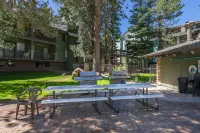 St Anton Wooded View 2-Bedroom Condos with Ski Lockers