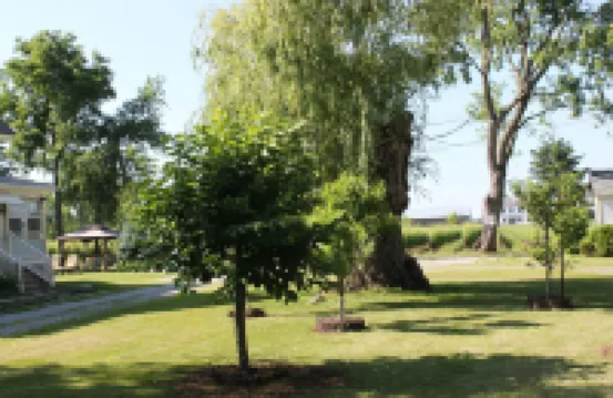 Green Oaks B&B