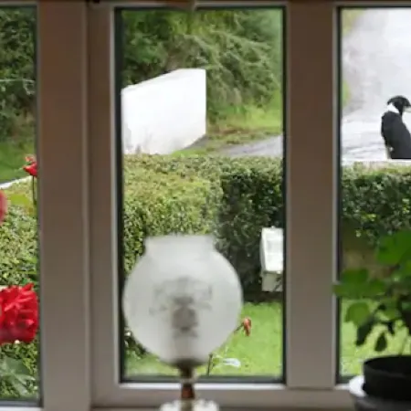 Murphys Farmhouse B&B