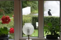 Murphys Farmhouse B&B - vue sur la montagne