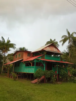 Hostal Buho Amazonas Tours Отели в г. 
