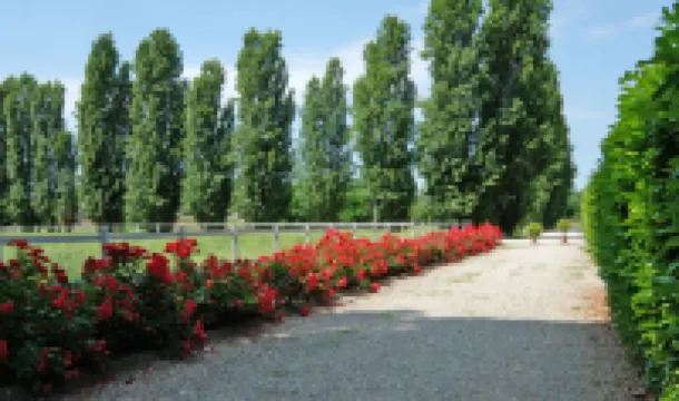 Agriturismo Il Leone Della Torre Hotels in Nogara