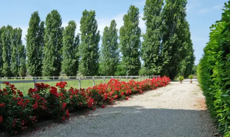 Agriturismo Il Leone Della Torre Отели в г. Изола-делла-Скала