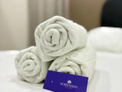 Hortensias Hotel and Suites Hotels in Tapachula