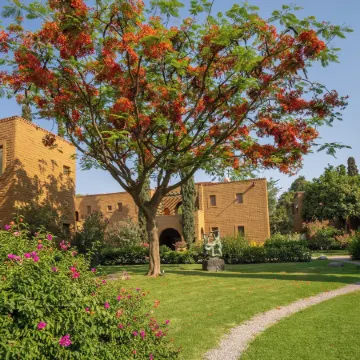 Mision del Sol Resort & Spa Adults Only