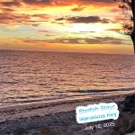 Walk to Gulf Beach Access! Coastal Studio – Starfish Stays 2C Dog Friendly.