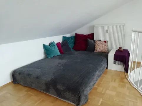 Duplex apartment over 2 levels with roof terrace near the Elbe in Dresden-Blasewitz