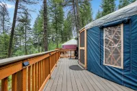Cozy and POSH-est Yurt in gorgeous Boise National Forest