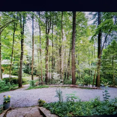 Charming 2-bedroom cabin with WiFi, AC in enchanting Blairsville